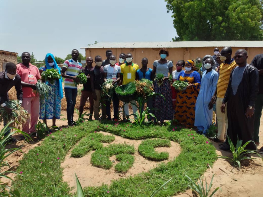Tchad : culture maraichère, des projets agricoles portent leurs fruits à N'Djamena Tchad : culture maraichère, des projets agricoles portent leurs fruits à N'Djamena