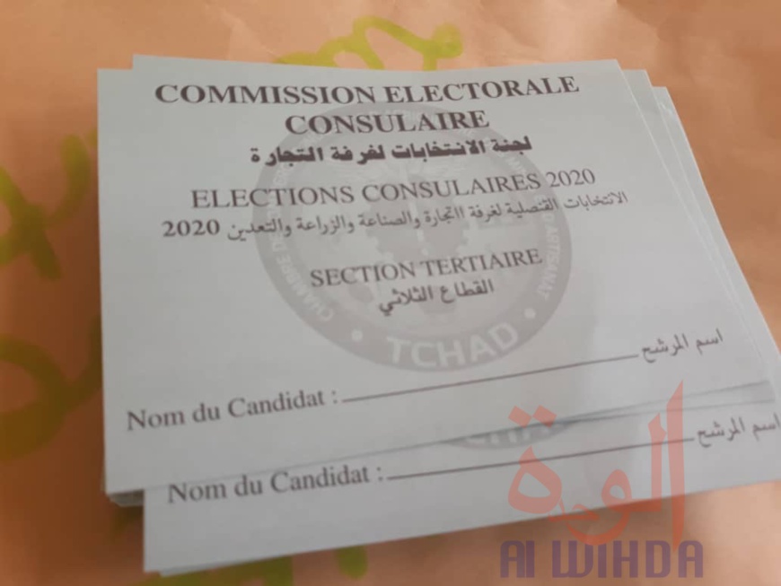 Tchad : début des élections consulaires à N'Djamena et en province Tchad : début des élections consulaires à N'Djamena et en province