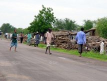 Vente de bois au bord de la route, Douguia, Tchad. Crédits photos : OIF
