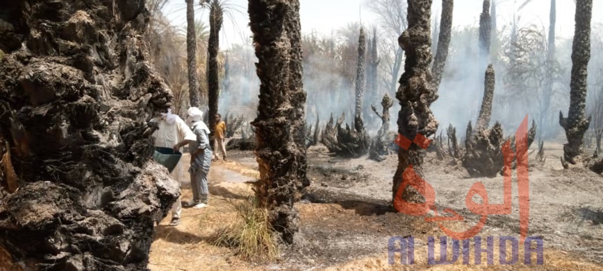 Tchad : un incendie fait des ravages à Faya Tchad : un incendie fait des ravages à Faya