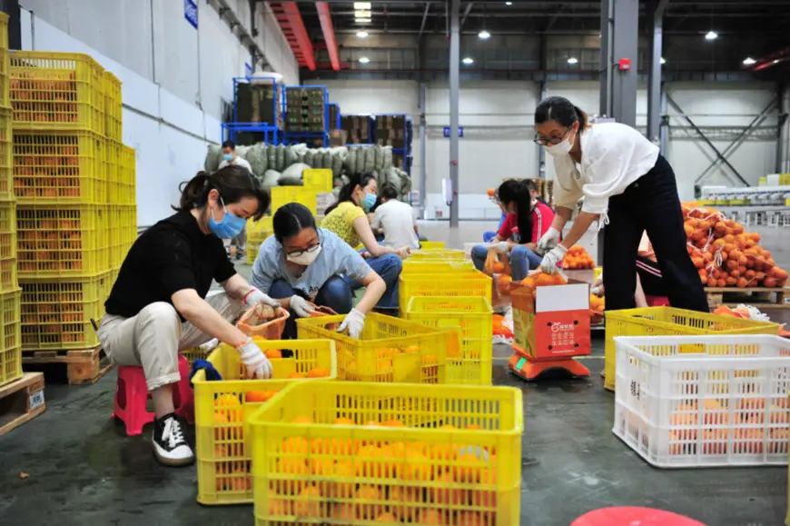 Workers pack oranges for online orders in an e-commerce industrial park in Yiling district, Yichang, Central China’s Hubei Province, June 18. (Photo by Zhang Guorong/People’s Daily Online)