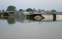Tchad : Le niveau des eaux du fleuve dépasse le seuil d'alerte dans le IXème arrondissement