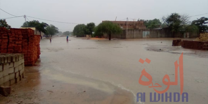 Tchad : des quartiers inondés à N'Djamena après une forte pluie Tchad : des quartiers inondés à N'Djamena après une forte pluie