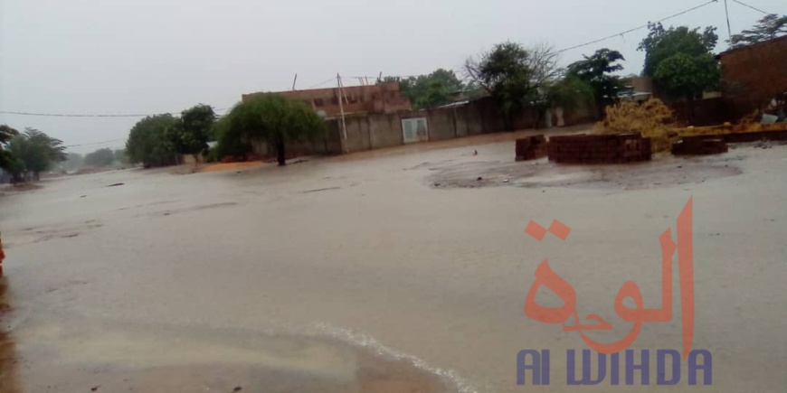 Tchad : des quartiers inondés à N'Djamena après une forte pluie Tchad : des quartiers inondés à N'Djamena après une forte pluie
