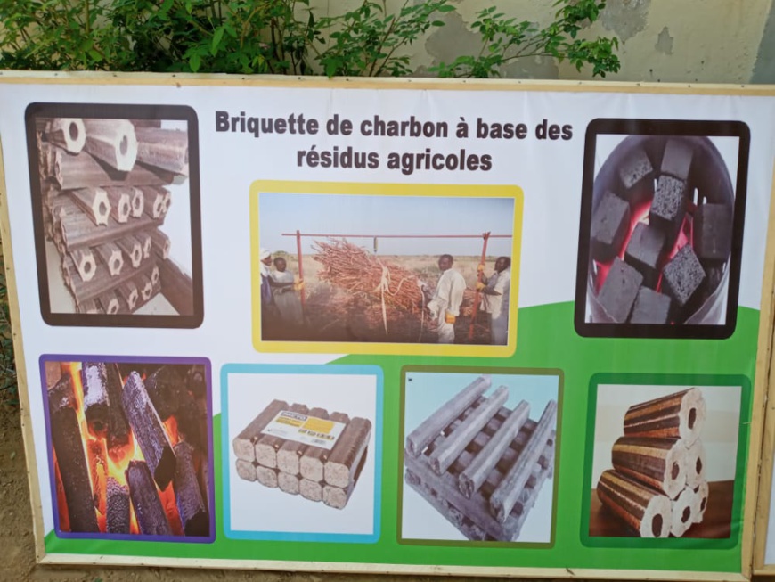 Tchad : l'APE appelle à accentuer la lutte contre la dégradation de l'environnement Tchad : l'APE appelle à accentuer la lutte contre la dégradation de l'environnement