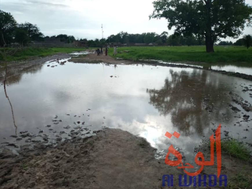 Tchad : au Sila, la population se mobilise pour aménager une route Tchad : au Sila, la population se mobilise pour aménager une route