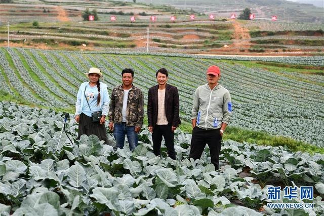 He Xianchao (second from right), farmer in Weining County, Guizhou Province, took a group photo with other relocated households in their joint vegetable base (photo taken on June 17). Photo by Xinhua News Agency