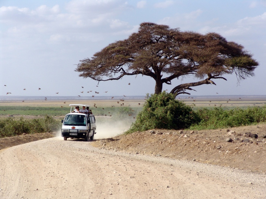 Kenya. © Peggy_Marco/PixaBay