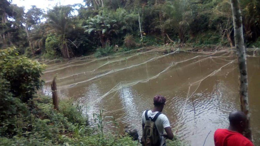 L’étang piscicole contient deux principales variétés : les tilapias et les silures. L’étang piscicole contient deux principales variétés : les tilapias et les silures.