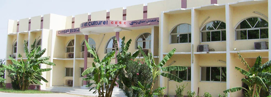 Tchad : la relance économique, une priorité pour le CESC Tchad : la relance économique, une priorité pour le CESC