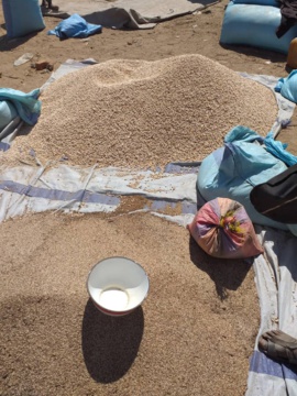 Le marché de Goz Beida, au Sila. © Mahamat Issa Gadaya/Alwihda Info Le marché de Goz Beida, au Sila. © Mahamat Issa Gadaya/Alwihda Info