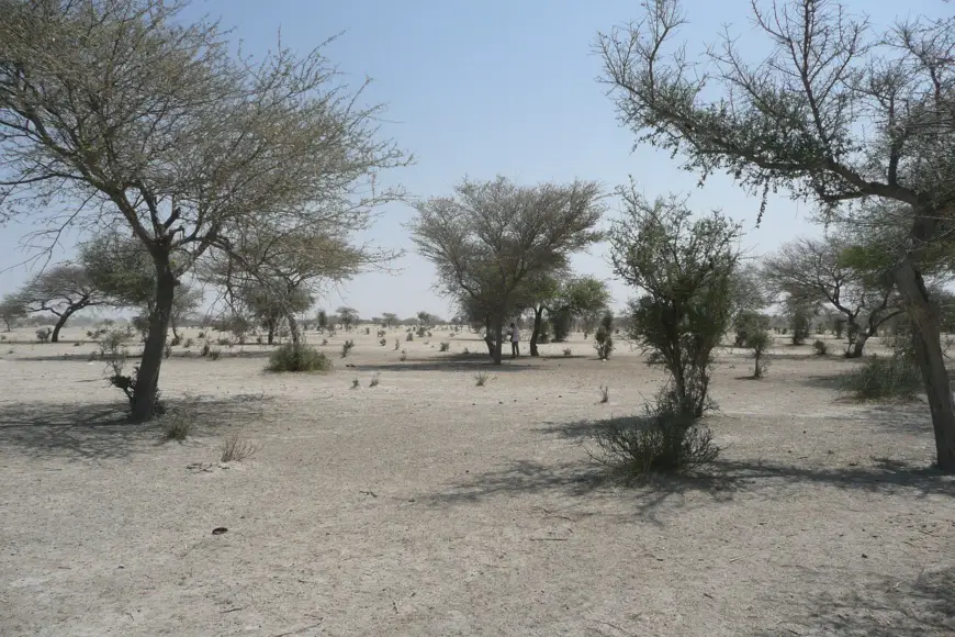 Zone désertique au Sahel. Image d'illustration © Pixabay