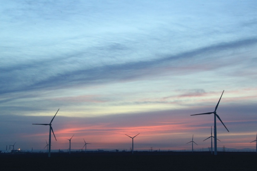 Wind farms create cheap and clean energy that benefits both people and the environment. Photo: Cai Zengle / People’s Daily Online