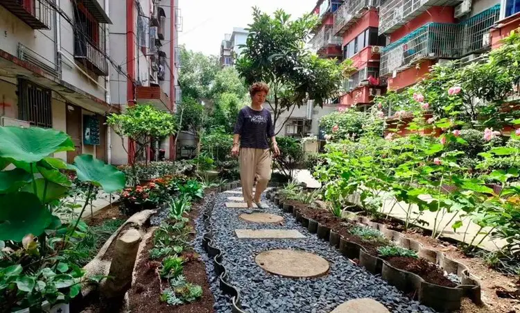 Huangli neighborhood builds a “green corridor.” Photo from http://nb.wenming.cn/