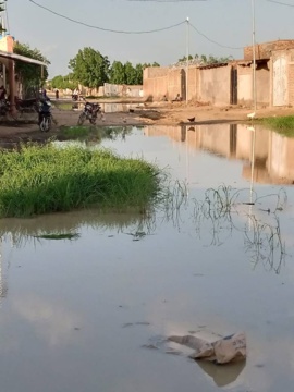 ​Tchad : à N'Djamena, les habitants de Zafaye abandonnés à leur triste sort. © Abakar Hassaballah/Alwihda Info