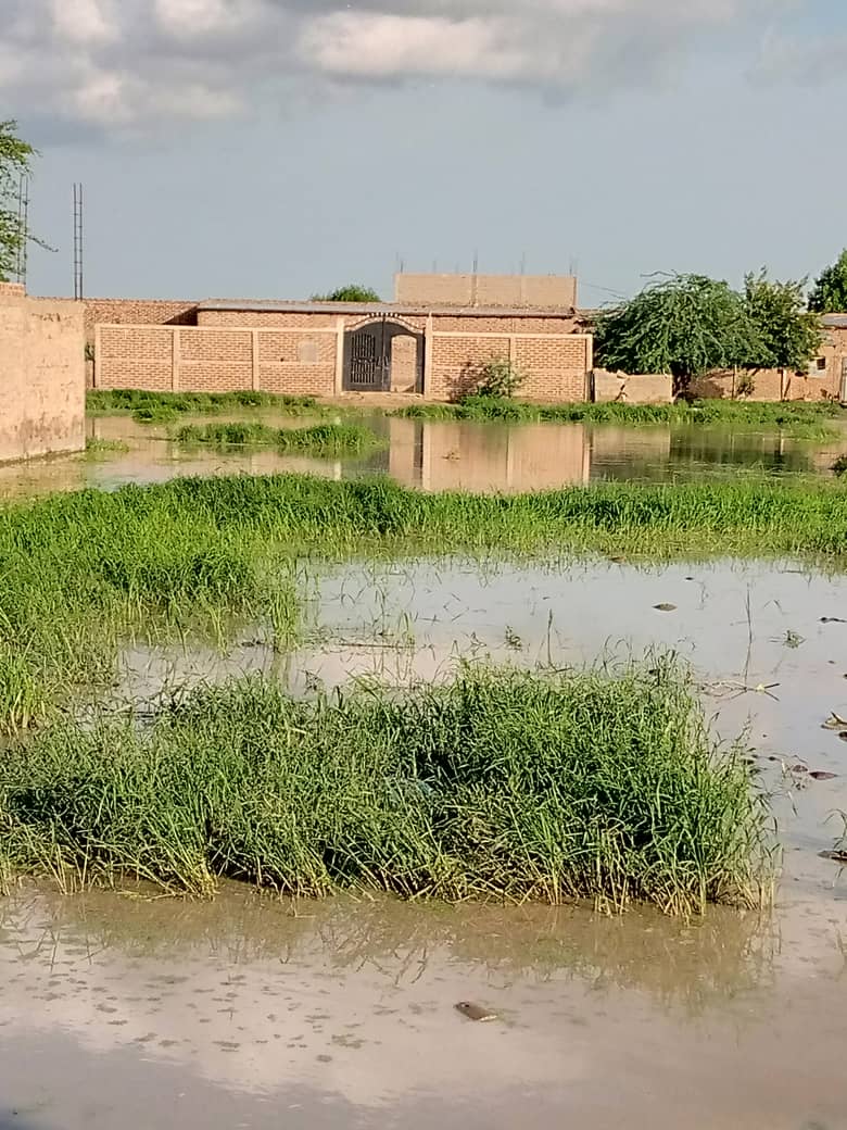 Tchad : à N'Djamena, les habitants de Zafaye abandonnés à leur triste sort. © Abakar Hassaballah/Alwihda Info Tchad : à N'Djamena, les habitants de Zafaye abandonnés à leur triste sort. © Abakar Hassaballah/Alwihda Info