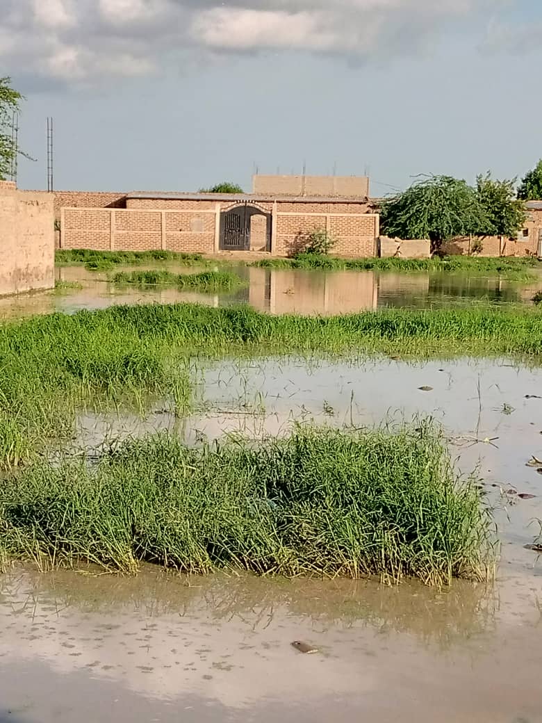 ​Tchad : à N'Djamena, les habitants de Zafaye abandonnés à leur triste sort. © Abakar Hassaballah/Alwihda Info