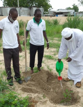 Tchad : Green Earth à l'avant-garde de la protection de l'environnement à N'Djamena. © Malick Mahamat/Alwihda Info Tchad : Green Earth à l'avant-garde de la protection de l'environnement à N'Djamena. © Malick Mahamat/Alwihda Info