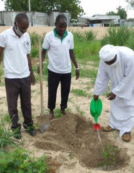 Tchad : Green Earth à l'avant-garde de la protection de l'environnement à N'Djamena. © Malick Mahamat/Alwihda Info