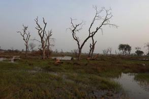 Crédits photos : swissaid.ch Crédits photos : swissaid.ch