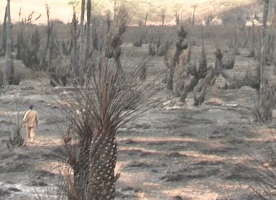 Tchad : un incendie ravageur à Tigui, dans le Borkou Tchad : un incendie ravageur à Tigui, dans le Borkou