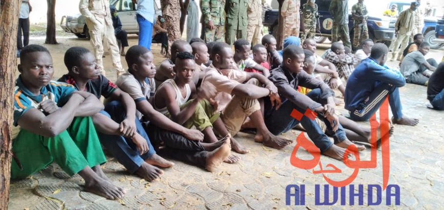 Tchad : plusieurs présumés malfrats arrêtés et d'importantes saisies par la gendarmerie Tchad : plusieurs présumés malfrats arrêtés et d'importantes saisies par la gendarmerie