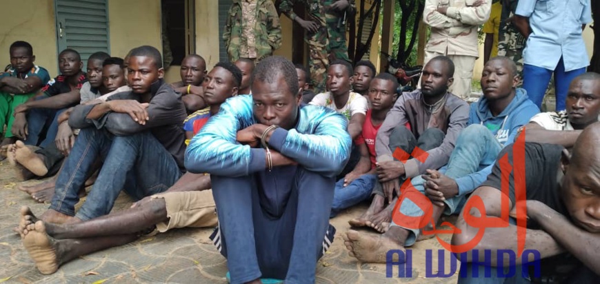 Tchad : plusieurs présumés malfrats arrêtés et d'importantes saisies par la gendarmerie Tchad : plusieurs présumés malfrats arrêtés et d'importantes saisies par la gendarmerie
