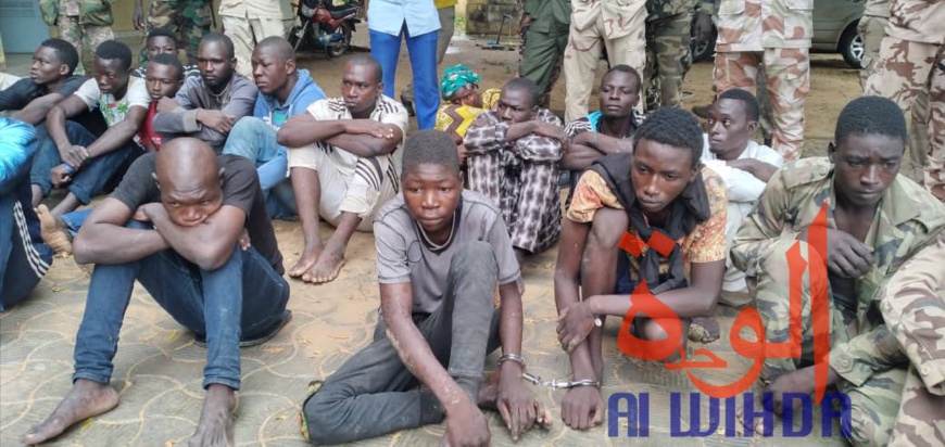 Tchad : plusieurs présumés malfrats arrêtés et d'importantes saisies par la gendarmerie Tchad : plusieurs présumés malfrats arrêtés et d'importantes saisies par la gendarmerie