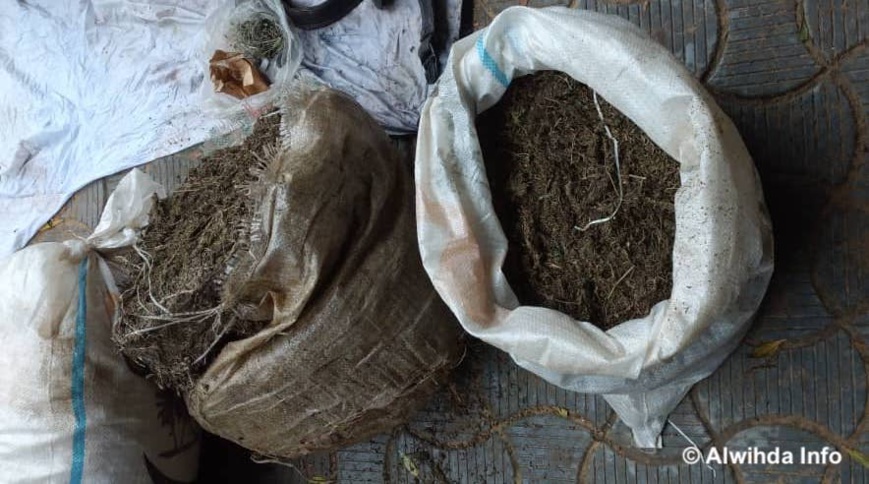 Tchad : plusieurs présumés malfrats arrêtés et d'importantes saisies par la gendarmerie Tchad : plusieurs présumés malfrats arrêtés et d'importantes saisies par la gendarmerie