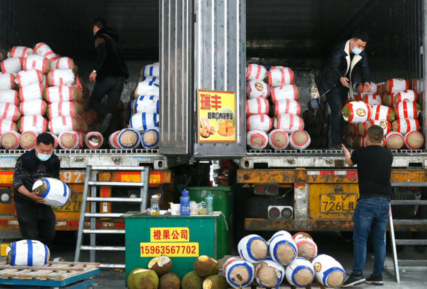 Photo taken on April 27 shows workers unloading jackfruits transported from Vietnam at an international agricultural and sideline products trading center in Qingdao, east China's Shandong province. (Photo by Liang Xiaopeng/People's Daily Online)