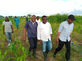 Tchad : Les jeunes s'investissent dans l'agriculture et relèvent les défis