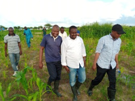 Tchad : Les jeunes s'investissent dans l'agriculture et relèvent les défis Tchad : Les jeunes s'investissent dans l'agriculture et relèvent les défis