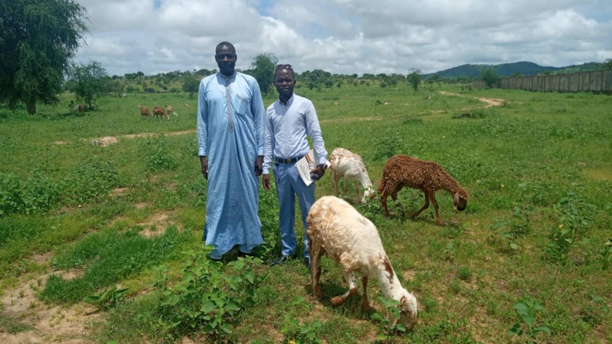 Tchad : au Sila, l'ONAJES fait le suivi des projets jeunes bénéficiaires de financements Tchad : au Sila, l'ONAJES fait le suivi des projets jeunes bénéficiaires de financements