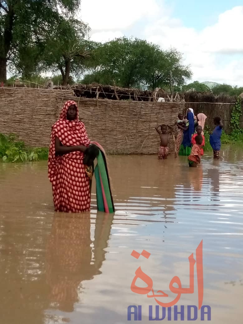 Tchad : des centaines de familles sans-abris suite à des inondations au Sila Tchad : des centaines de familles sans-abris suite à des inondations au Sila