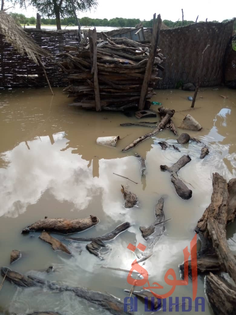 Tchad : des centaines de familles sans-abris suite à des inondations au Sila Tchad : des centaines de familles sans-abris suite à des inondations au Sila