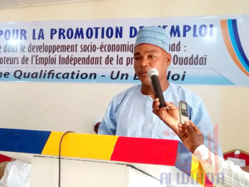 Tchad : l'ONAPE débloque 38,7 millions Fcfa pour financer 29 projets jeunes au Ouaddaï