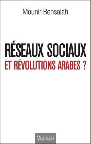 Ouvrage sur les révolutions arabes : Parole de cyberactiviste