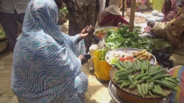 Tchad : à Ati, une large sensibilisation dans les marchés pour la révision du fichier électoral. © Hassan Djidda Hassan/Alwihda Info Tchad : à Ati, une large sensibilisation dans les marchés pour la révision du fichier électoral. © Hassan Djidda Hassan/Alwihda Info