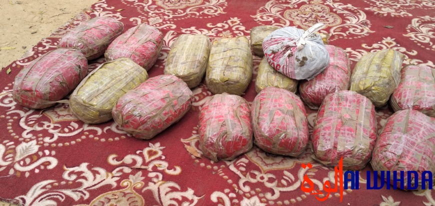 Tchad : 17 présumés malfrats arrêtés par la Gendarmerie. © Malick Mahamat, Ben Kadabio/Alwihda Info Tchad : 17 présumés malfrats arrêtés par la Gendarmerie. © Malick Mahamat, Ben Kadabio/Alwihda Info