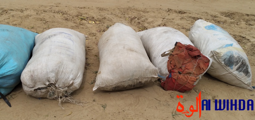 Tchad : 17 présumés malfrats arrêtés par la Gendarmerie. © Malick Mahamat, Ben Kadabio/Alwihda Info Tchad : 17 présumés malfrats arrêtés par la Gendarmerie. © Malick Mahamat, Ben Kadabio/Alwihda Info