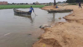 Tchad : un enfant de 14 ans meurt noyé au fleuve en se lavant, il a vécu 5 ans à la rue. © Dakouna Espoir Tchad : un enfant de 14 ans meurt noyé au fleuve en se lavant, il a vécu 5 ans à la rue. © Dakouna Espoir