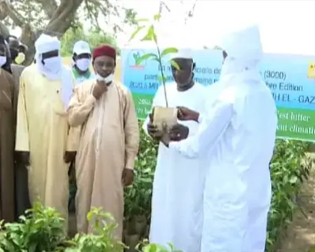Tchad : au Barh El Gazel, une ONG honorée pour ses actions contre l'avancée du désert