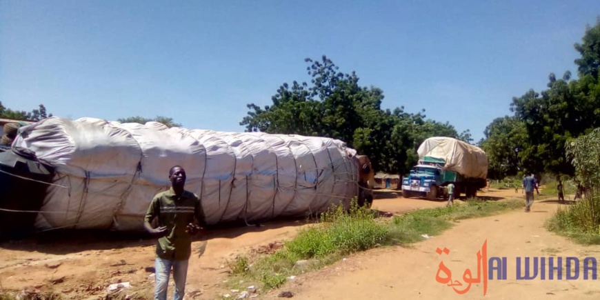 Tchad : un gros porteur se renverse à Pala bloquant l'axe menant à Léré. © Foka Mapagne/Alwihda Info Tchad : un gros porteur se renverse à Pala bloquant l'axe menant à Léré. © Foka Mapagne/Alwihda Info