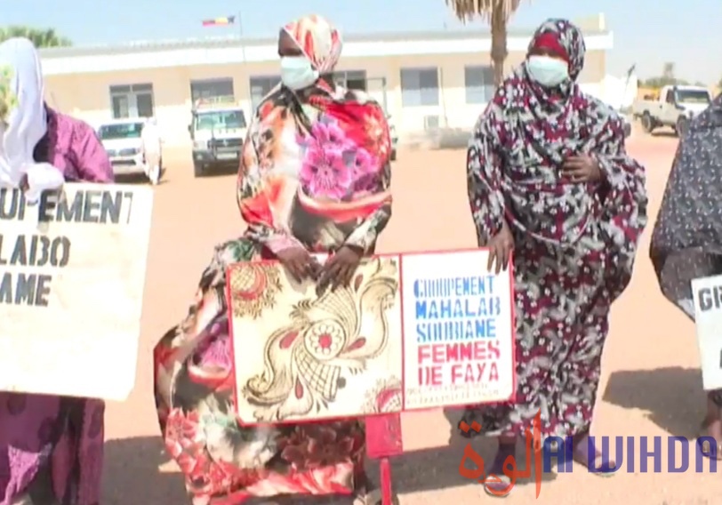 Tchad : une délégation de l'Unicef en mission à Faya. © Abdoulaye Adoum Akim/Alwihda Info