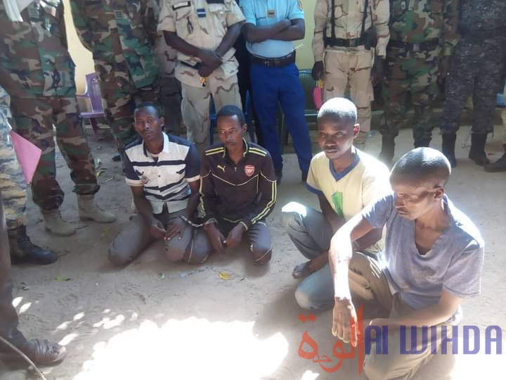 Tchad : la gendarmerie arrête quatre présumés malfrats au Mandoul. © Alwihda Info Tchad : la gendarmerie arrête quatre présumés malfrats au Mandoul. © Alwihda Info