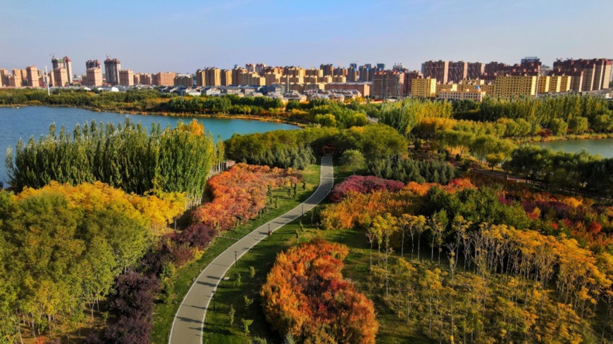 Photo taken in October 2020 shows a magnificent view in Lushuiwan ecological zone in Zhangye, northwest China's Gansu province. Photo by Shen Yixiao, People's Daily Online