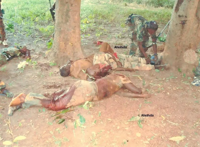 Des combattants rebelles récupèrent des bottes sur des cadavres de soldats centrafricains. Crédits photos : Alwihda