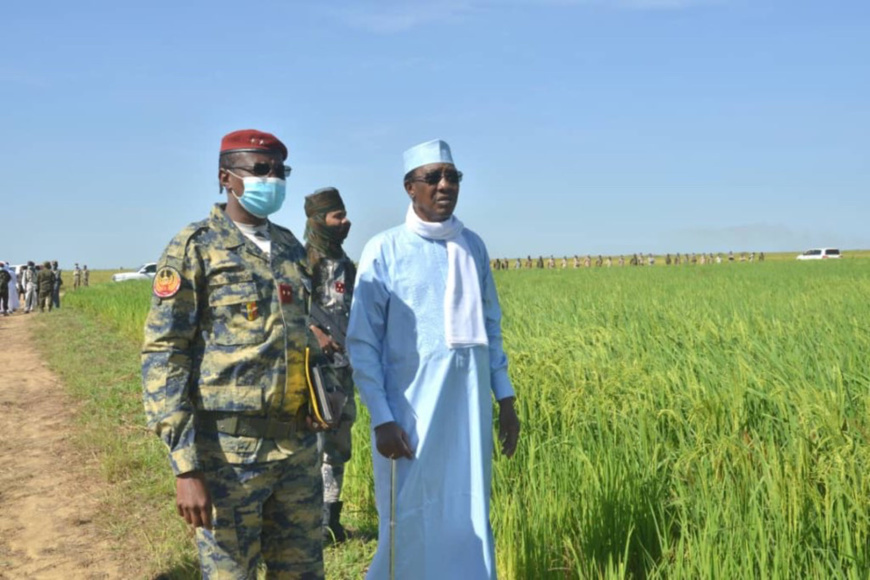 Tchad : près de Bongor, le génie militaire se montre efficace en exploitation agricole de riz. © PR Tchad : près de Bongor, le génie militaire se montre efficace en exploitation agricole de riz. © PR