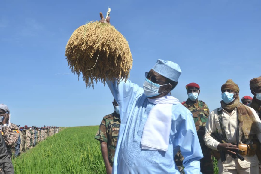 زراعة:مشير تشاد يزور الحقل الزراعي تشاراي. © PR زراعة:مشير تشاد يزور الحقل الزراعي تشاراي. © PR