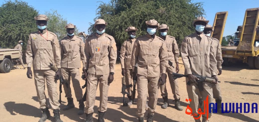 Tchad : des produits illicites saisis par les services des douanes